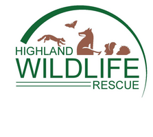 Highland Wildlife Rescue